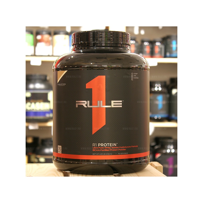 R1 Protein