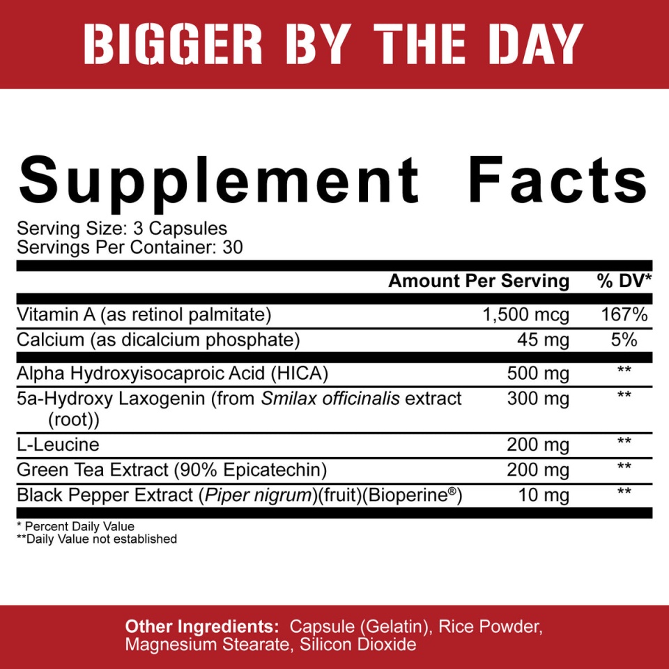 BiggerByTheDay_SFP_1200x.jpg