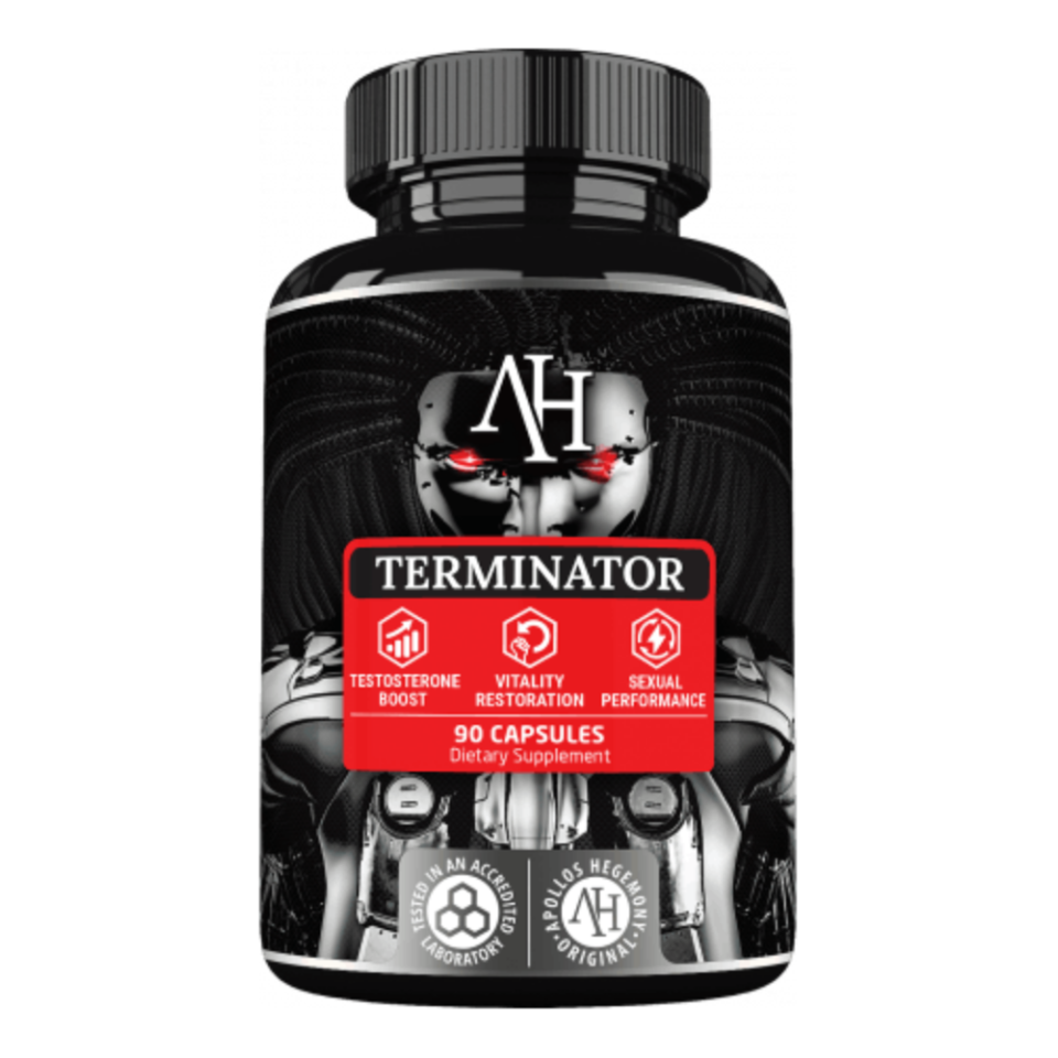 terminator.png