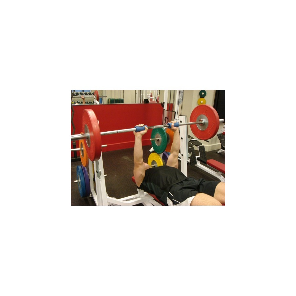 fat-gripztm2.jpg