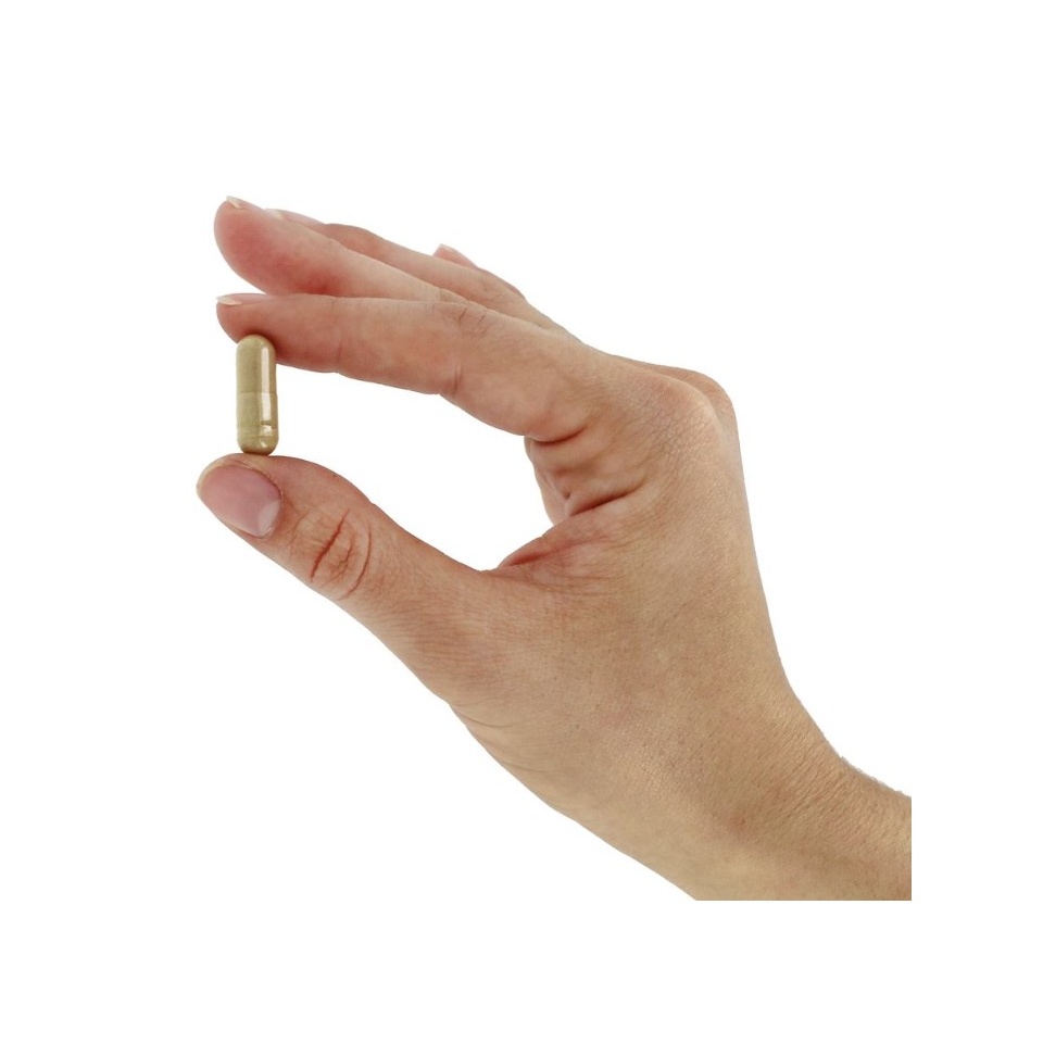 now-foods-fo-ti-herbal-supplement-ho-shou-wu-560-mg-100-vegetable-capsule2.jpg