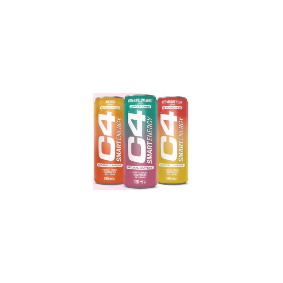 c4smart22.jpg