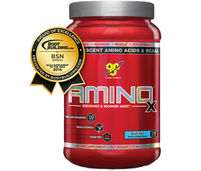 BSN AminoX 1001g