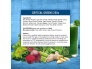 Applied-Nutrition-Critical-Greens-Powder3.jpg