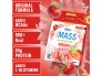 applied-nutrition-critical-mass-original-6000-g3.jpg