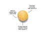 complete-multivitamin-complex3.jpg