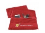 bsn-towel2.jpg