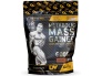 metabolic-mass-gainer-6kg-bag.jpg