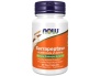 now-foods-serrapeptase-systemic-proteolytic-enzymes-60-vegetable-capsule-s.jpg