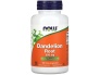 now-foods-dandelion-root-500-mg-100-veg-capsules22.jpg