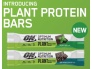 plant-2.jpg