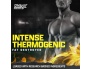 lipo-6-intense-uc3.jpg