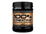 scitec_100_creatine_monohydrate_500g2.jpg