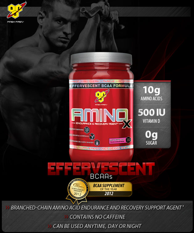 BSN Amino X Endurance & Recovery Fruit Punch - 435g