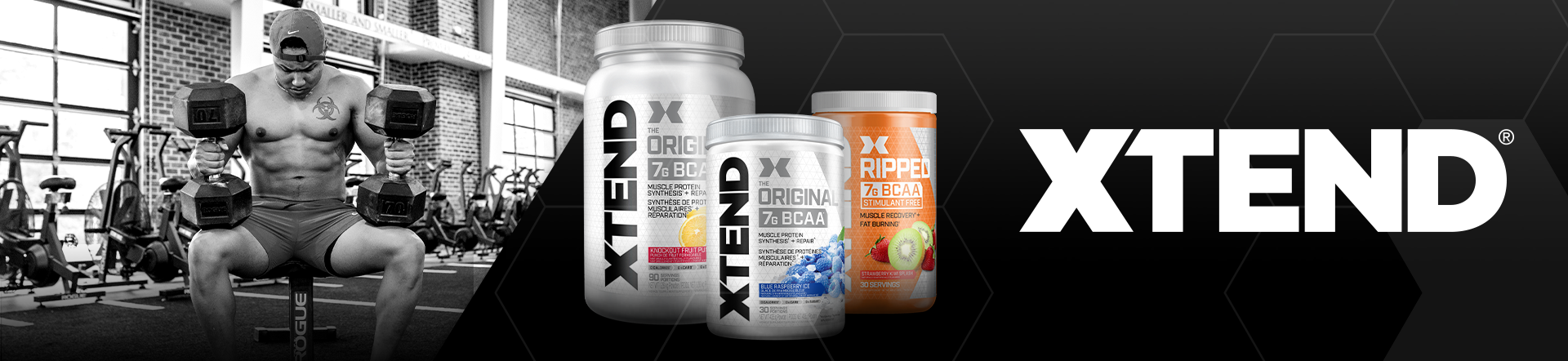 XTEND-family.png (563 KB)